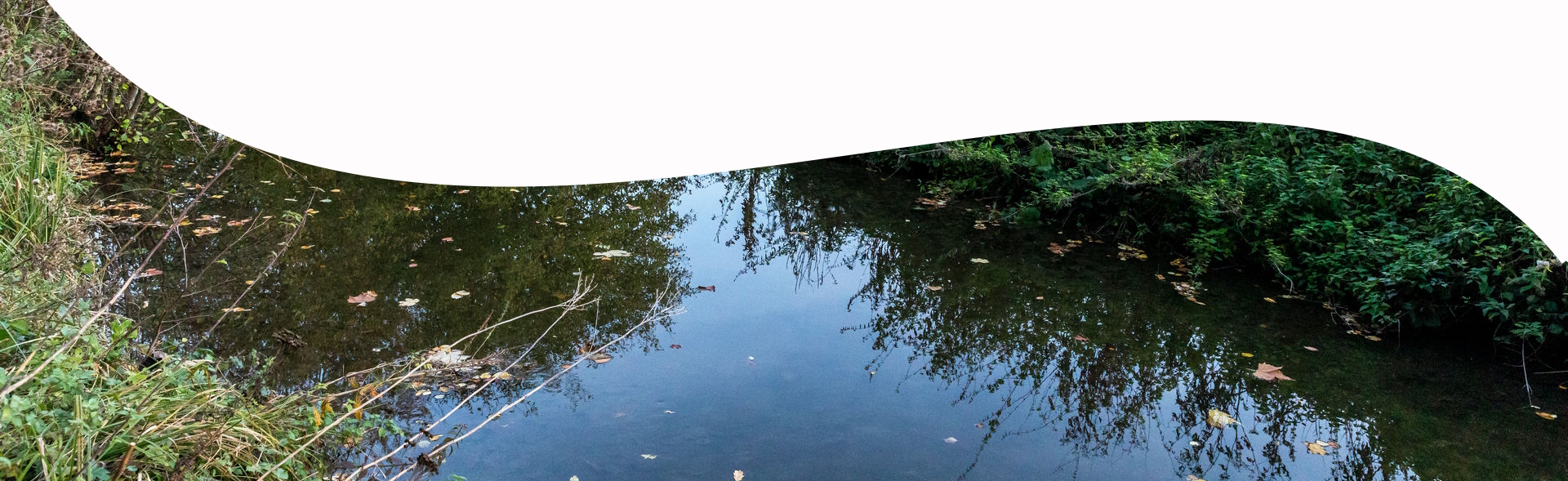 rivière