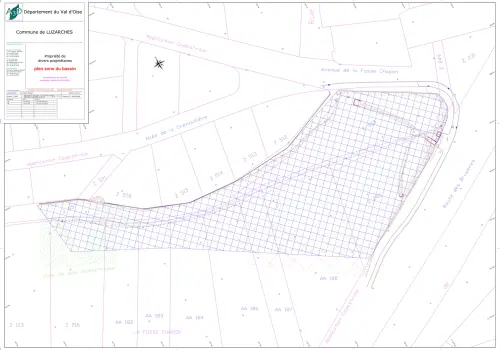Aménagement du bassin de la grenouillère